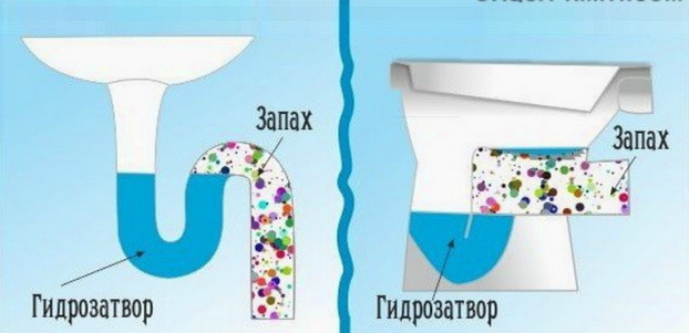 Гидрозатворы запирают канализацию